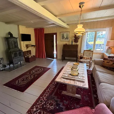 Nedre Skogtun By Norgesbooking Tatil Evi Tisleidalen