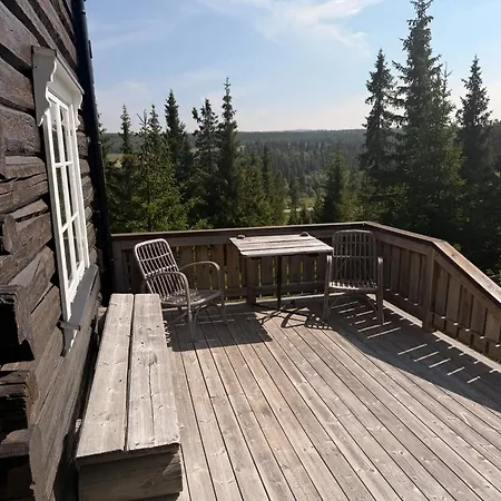 Nedre Skogtun By Norgesbooking Tatil Evi Tisleidalen