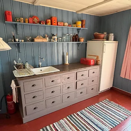 Nedre Skogtun By Norgesbooking Tatil Evi Tisleidalen
