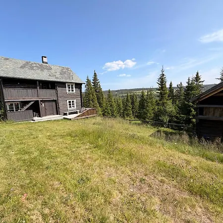 Tatil Evi Nedre Skogtun By Norgesbooking Tisleidalen