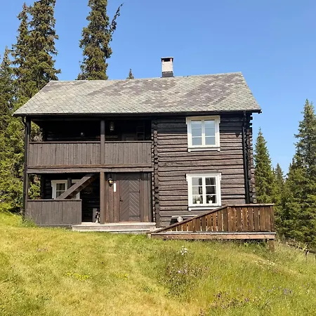 Nedre Skogtun By Norgesbooking Tisleidalen